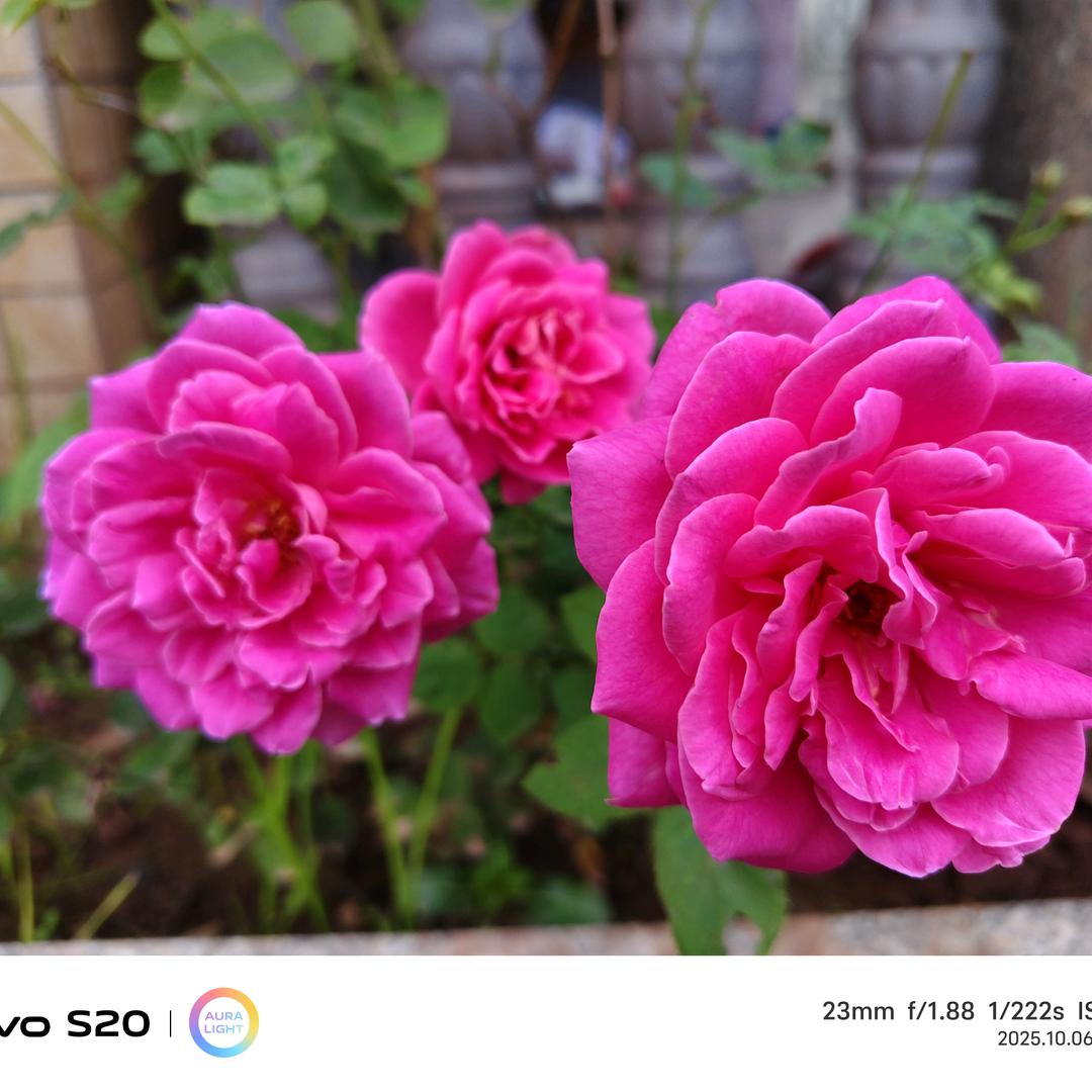 💞封心锁爱💞