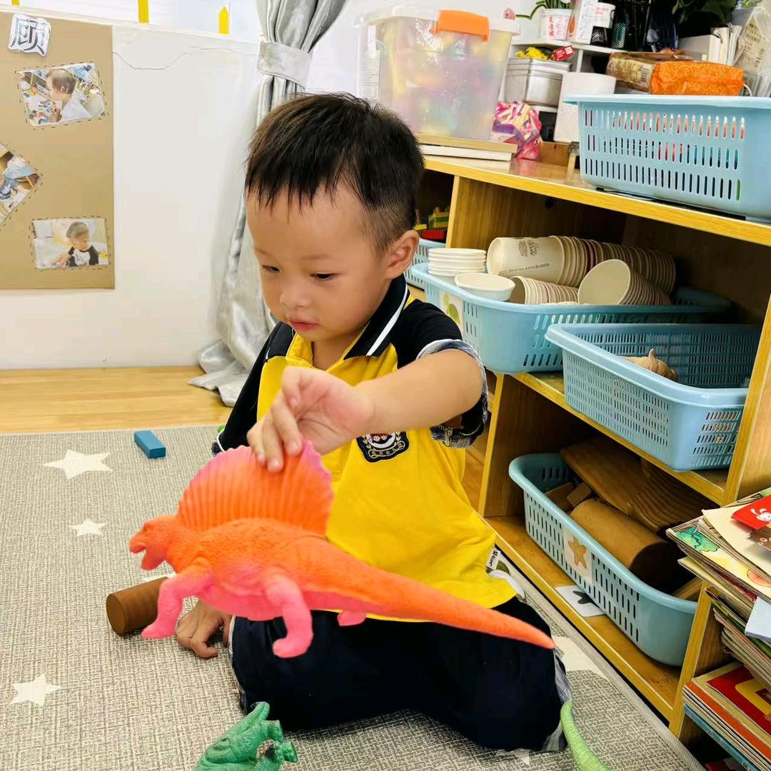 香甜蜜薯