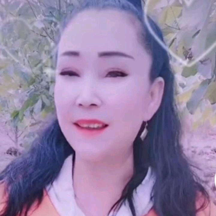 帕沙古丽