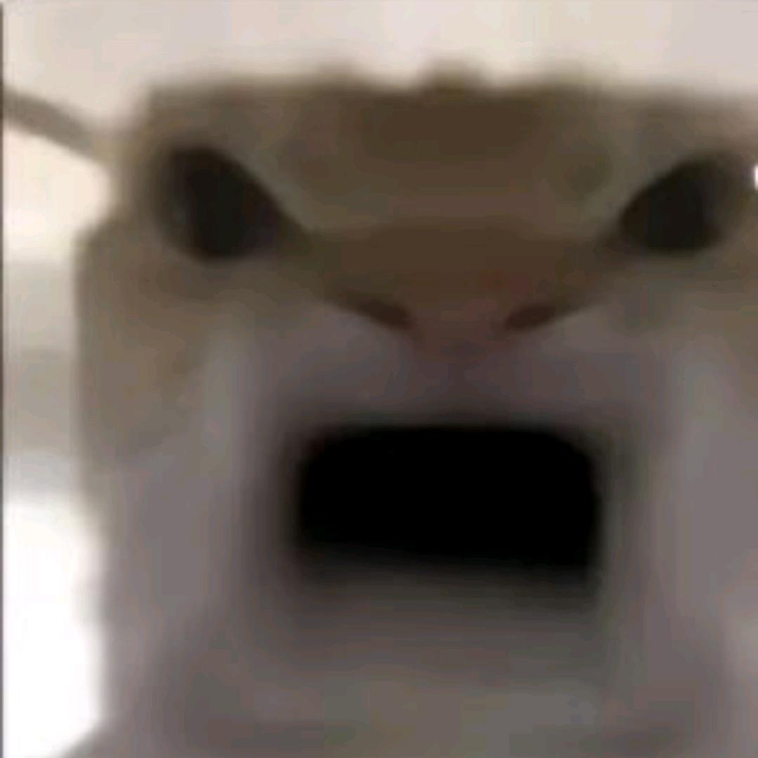 余生忆旧念江南