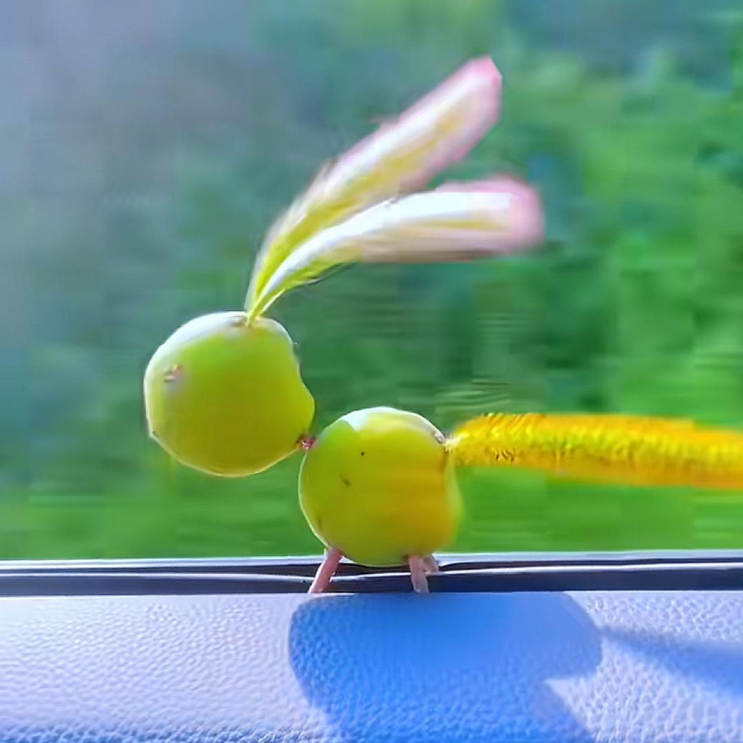 Jun六月