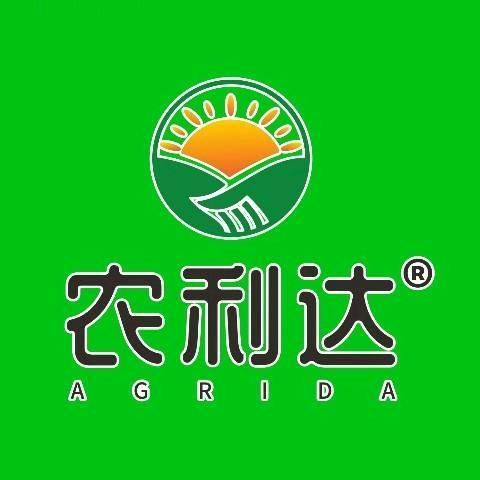 立赞-伍佳龙