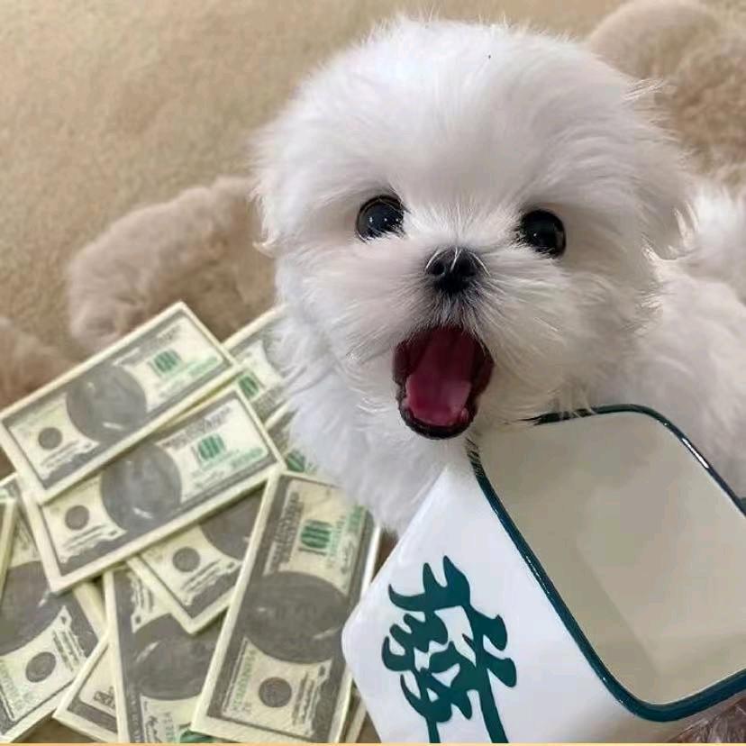 无望则安