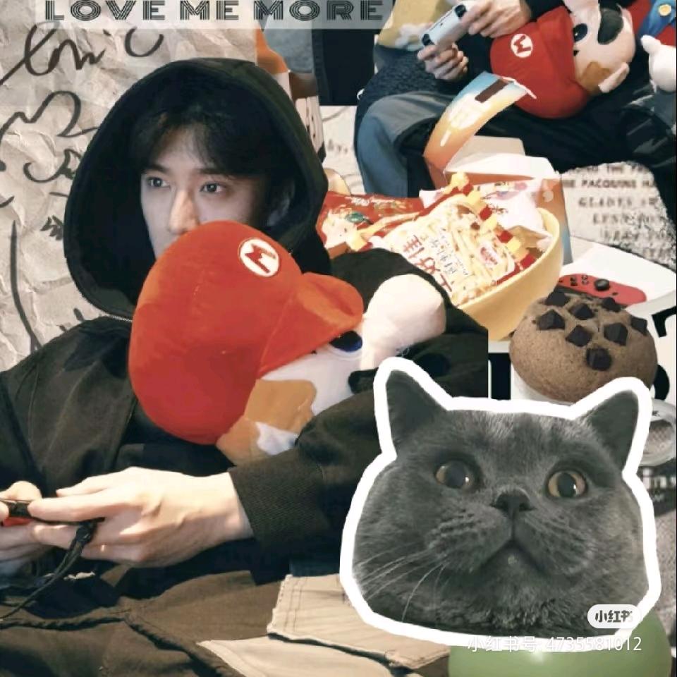 我是小狸