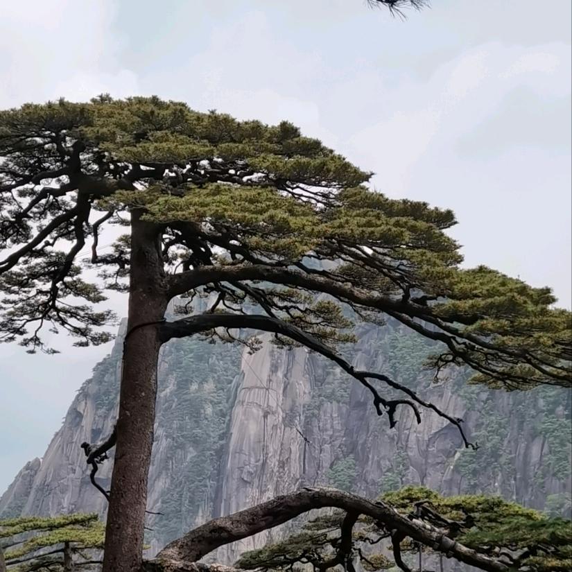 我