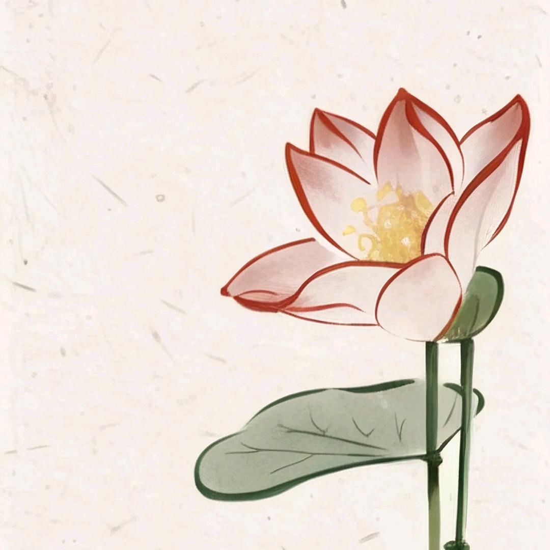 镜🪞