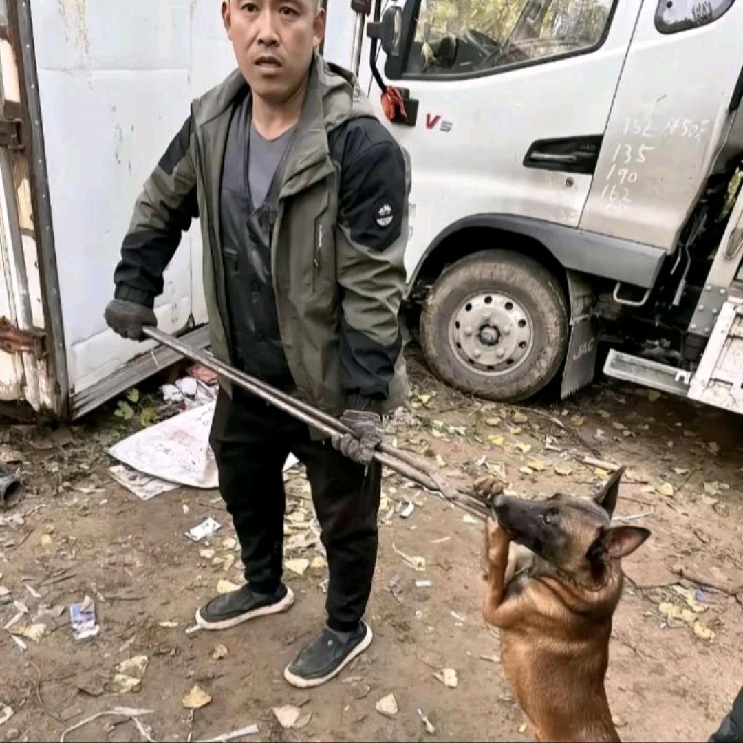 AAA孙师傅专业套狗30年