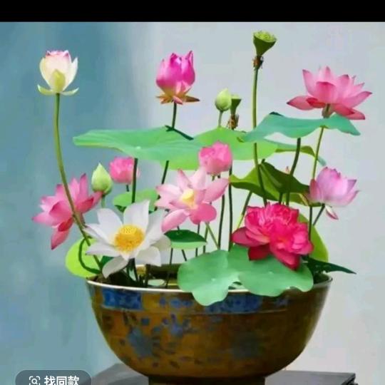 有你真好