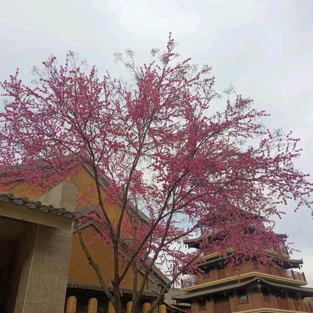 开心快乐每一天