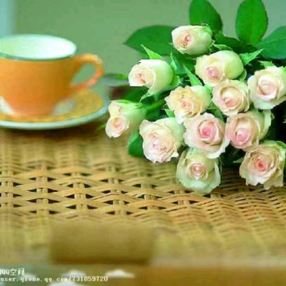 春江花月