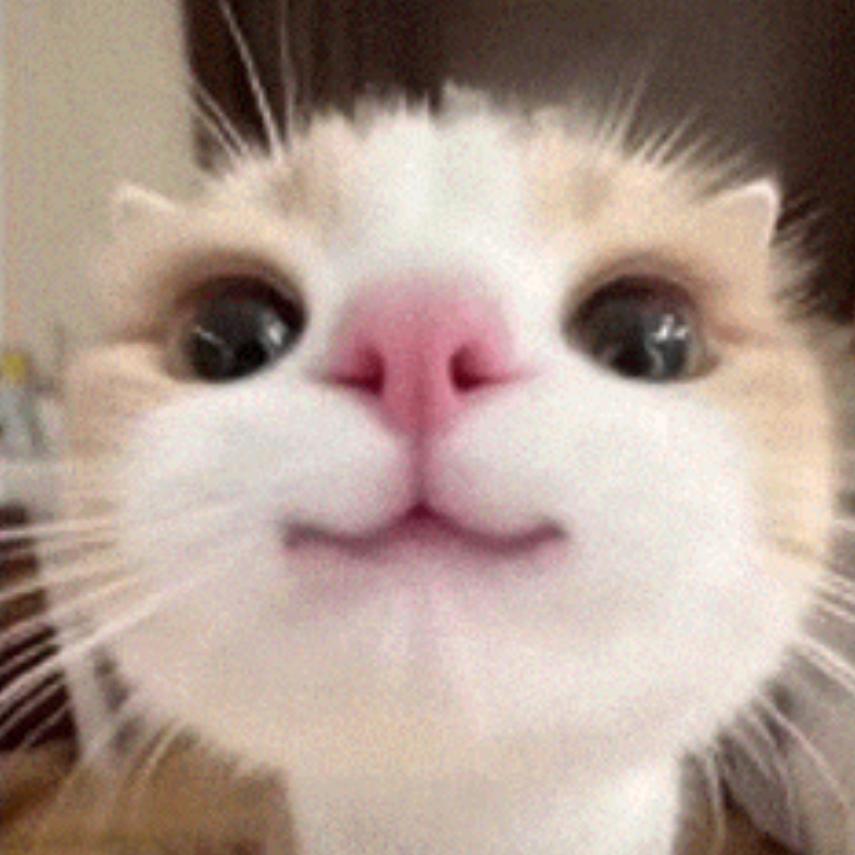 伸个懒腰