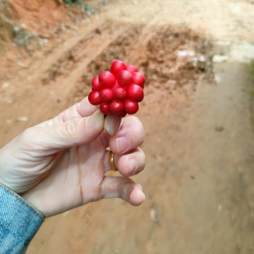 调皮的小孩