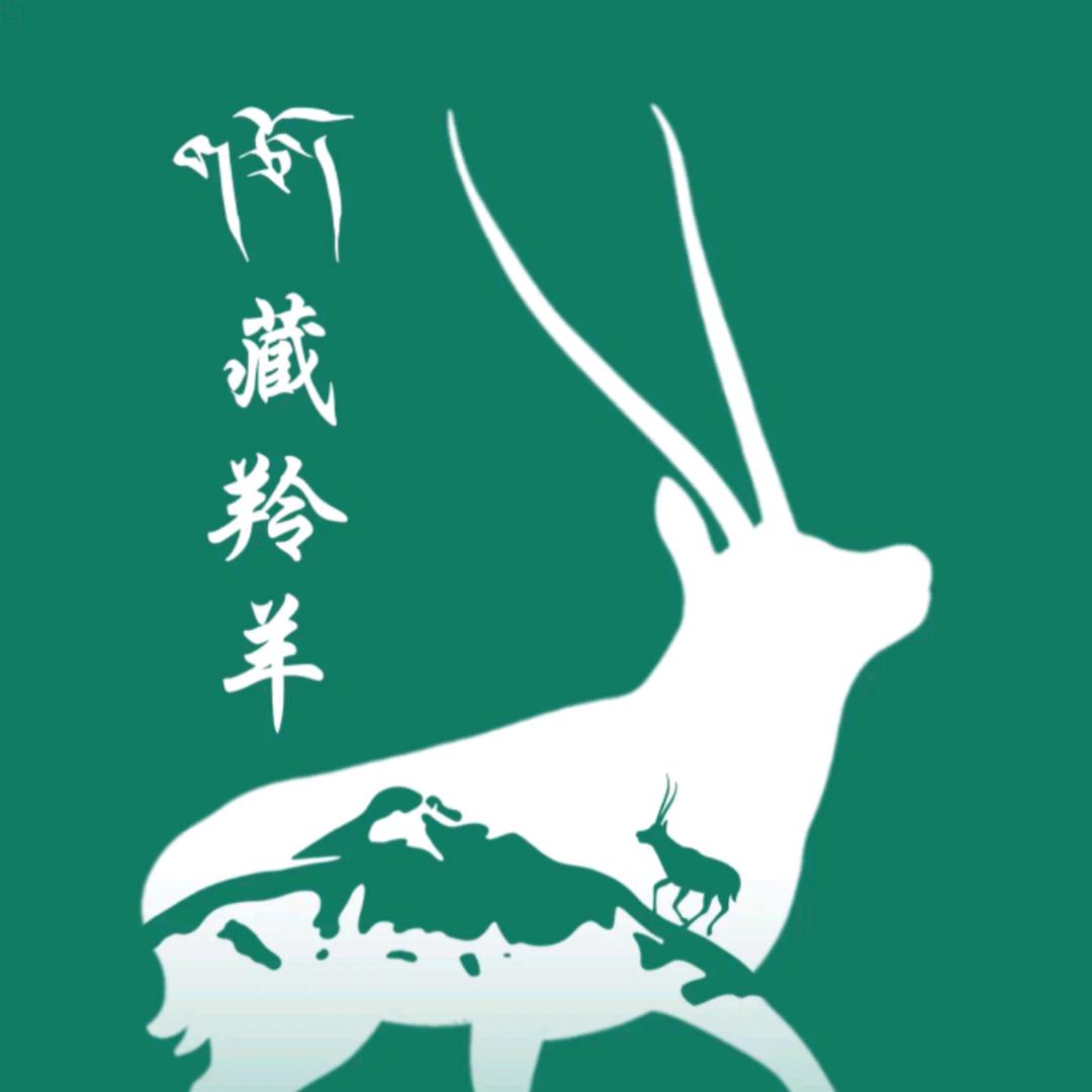 《藏羚羊锅庄团队》