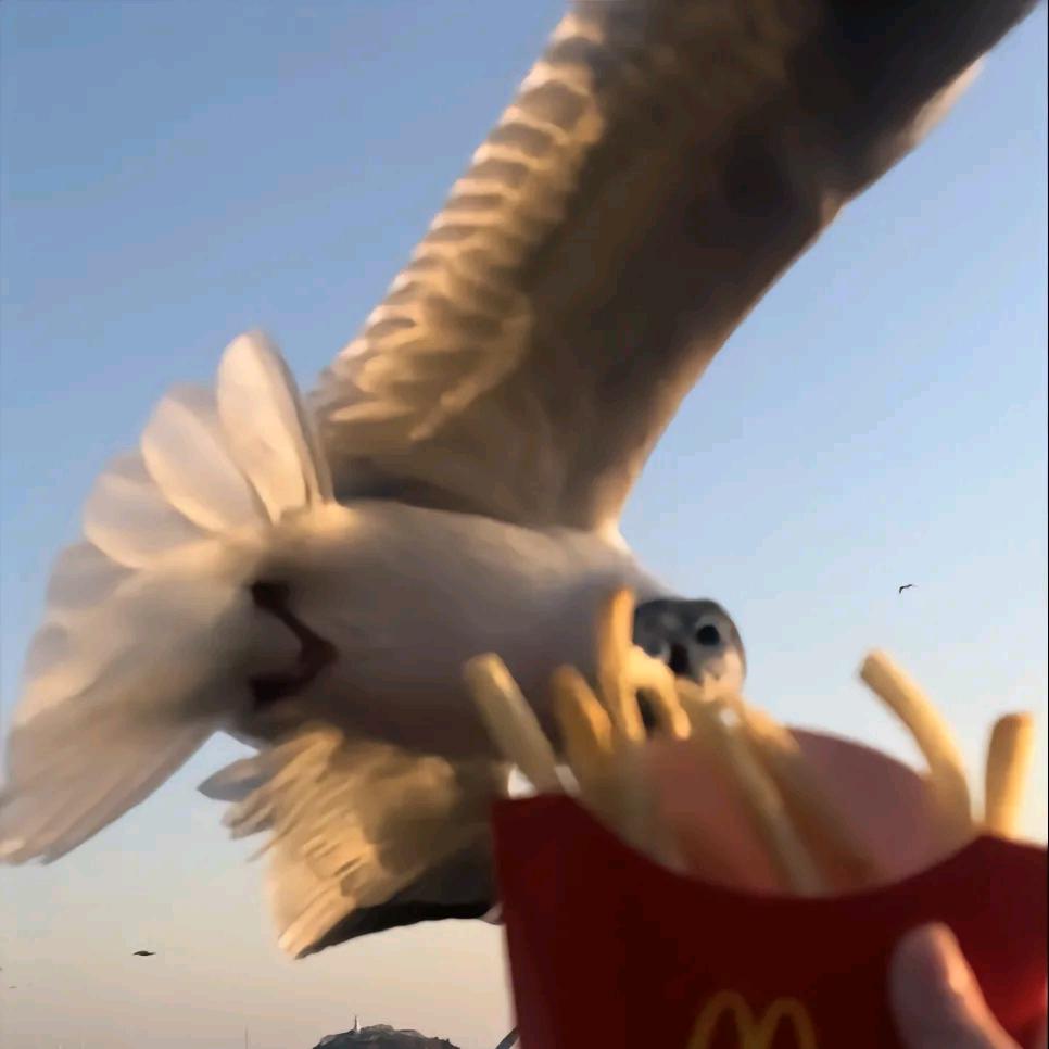 去码头整点薯条～