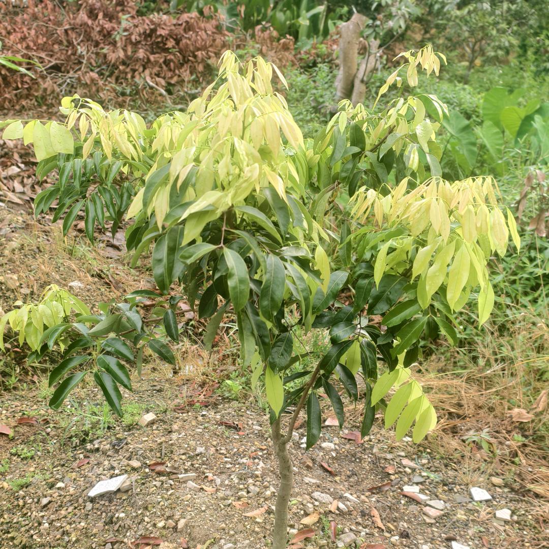 财富爆张