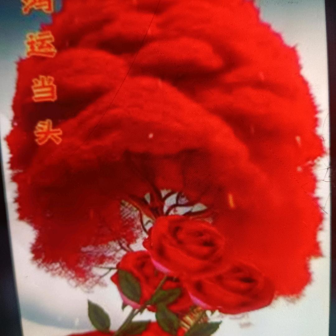 梦中情
