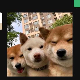 嘞个  呦