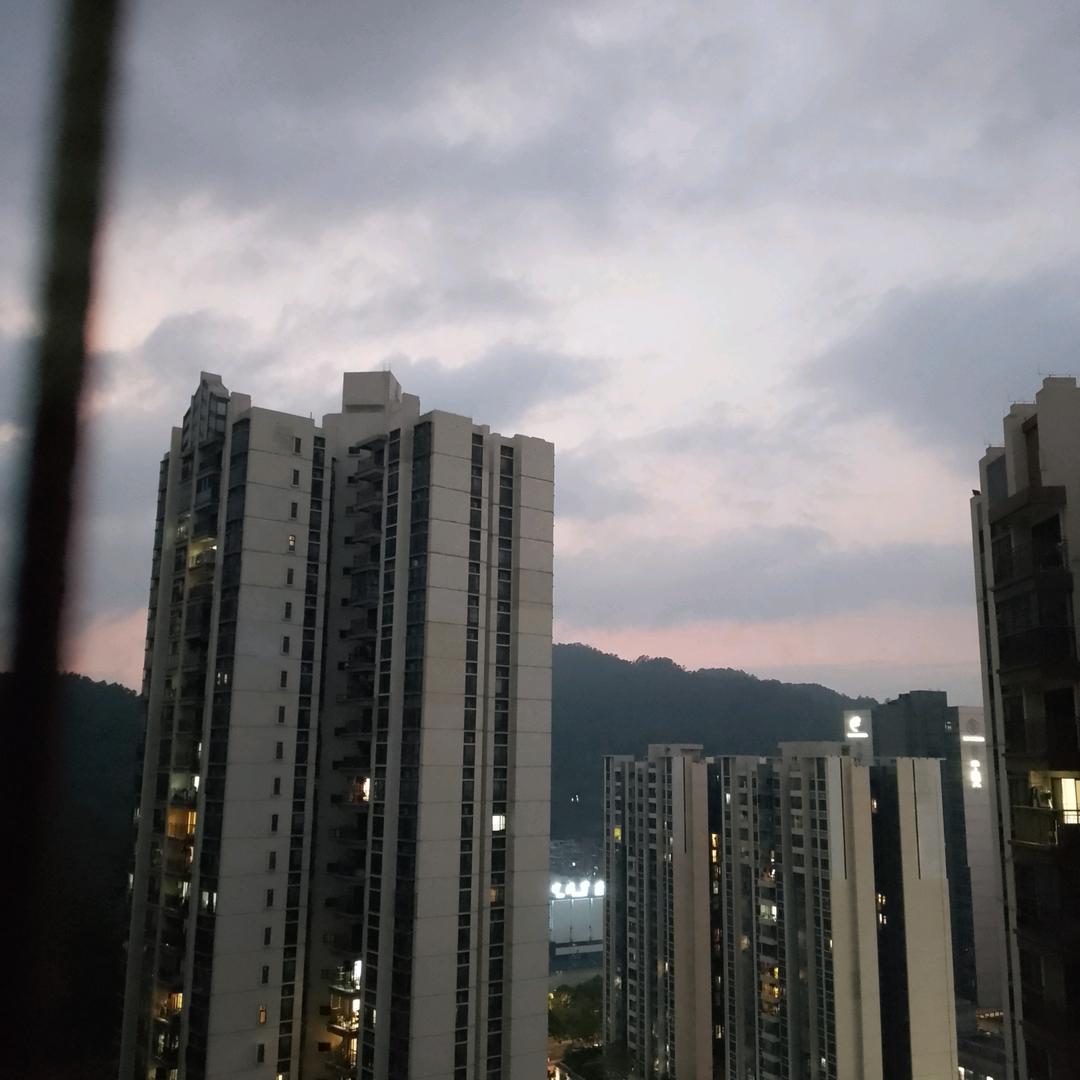 三才