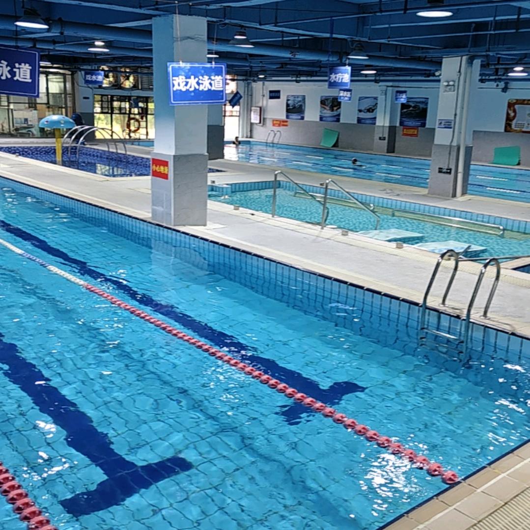 蓝飞鱼🏊陈教练