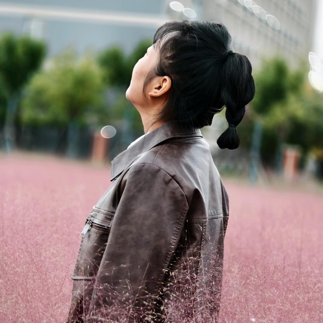 高逗逗逗
