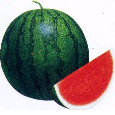 火哥