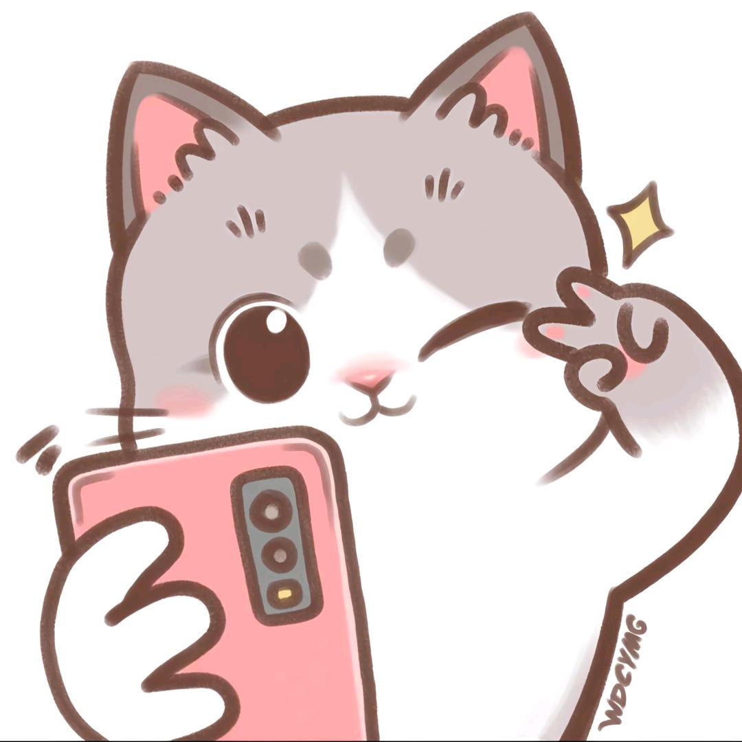 布偶🐱