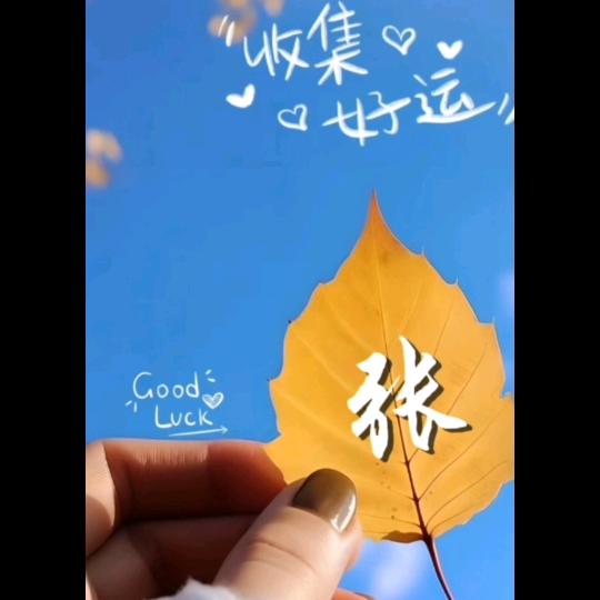 美美哒小张