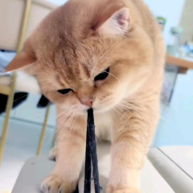 不打中袋