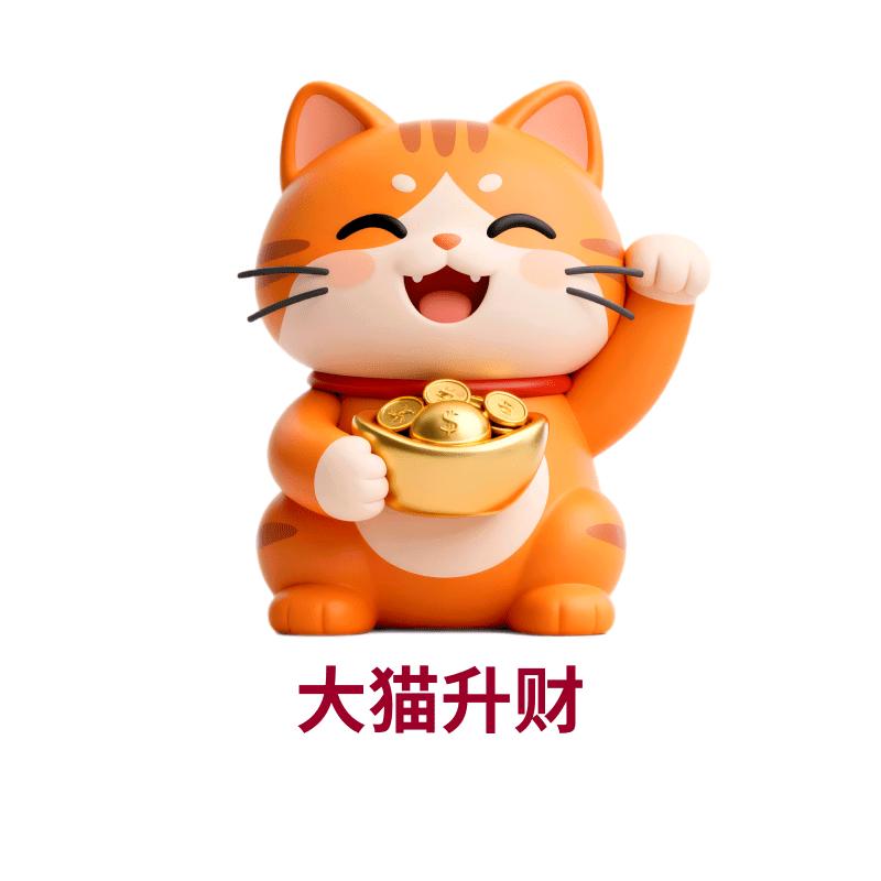 大猫老师数据