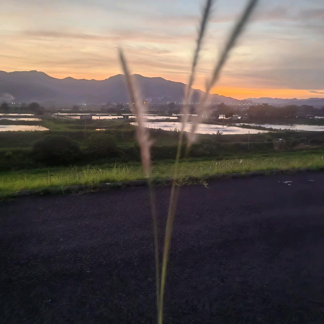 一定要少吃