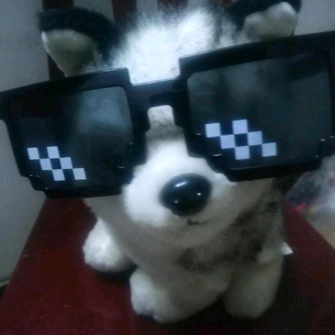 牢默wo🐶
