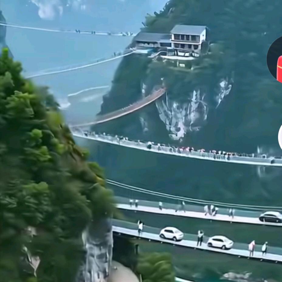 ヽ༼⁰o⁰；༽我心༼⁰o⁰；༽依旧✿