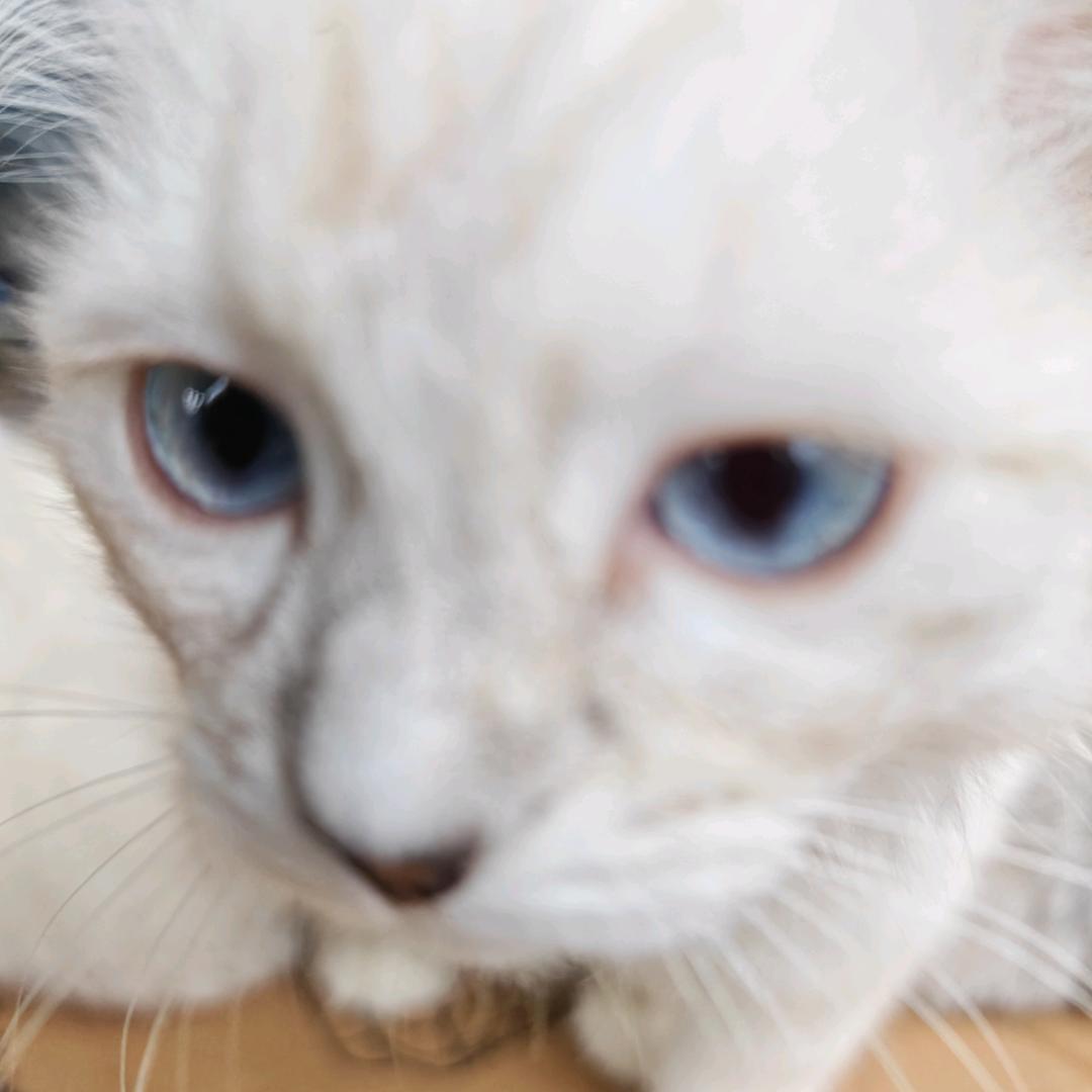 也许时间是一种解药