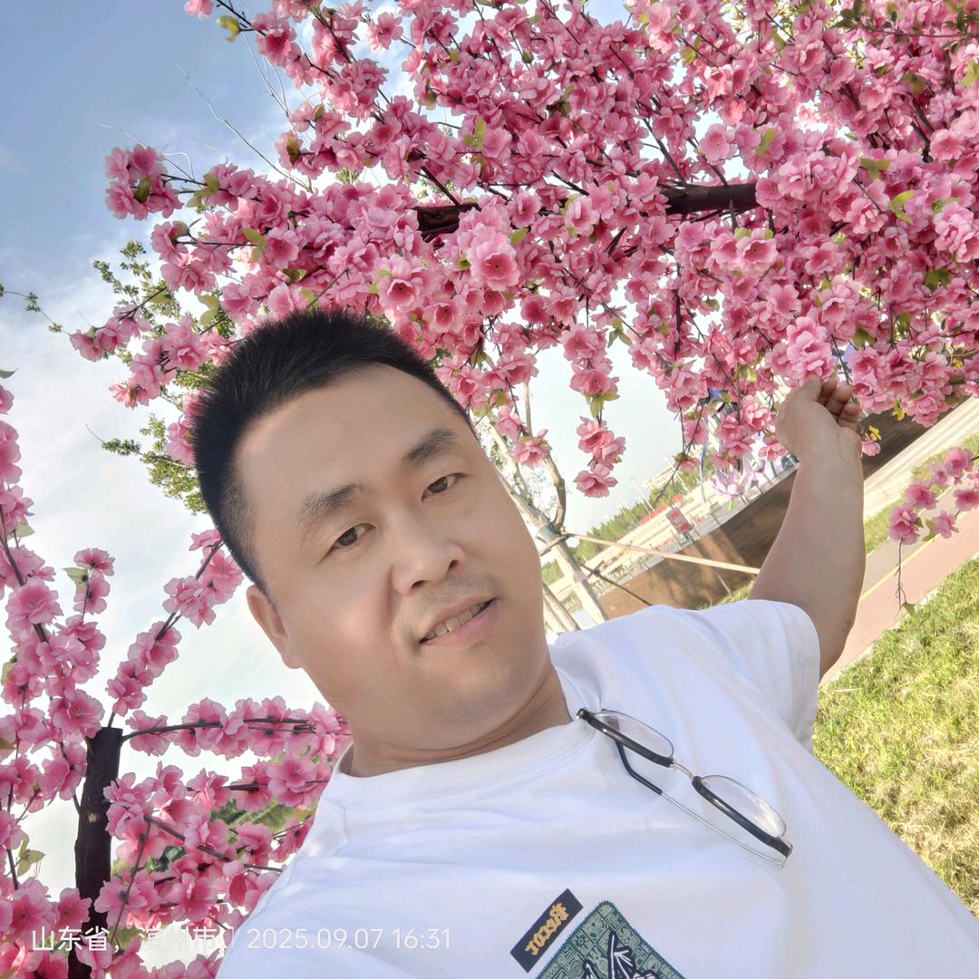 ご游走四方彡