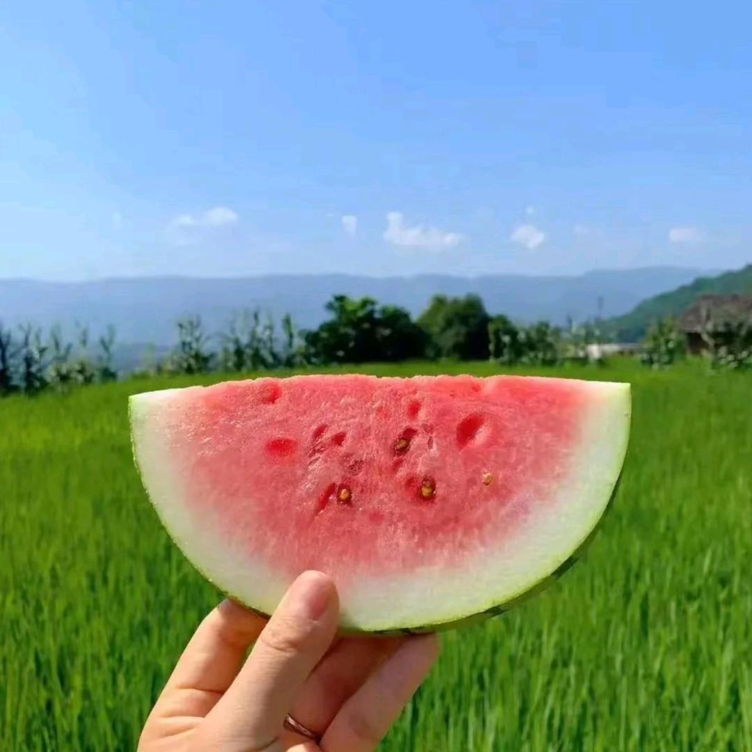 爱上早八