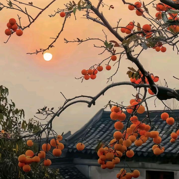 果