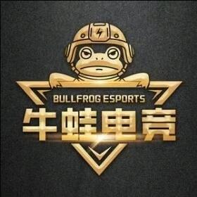 流星（暗区突围pc）