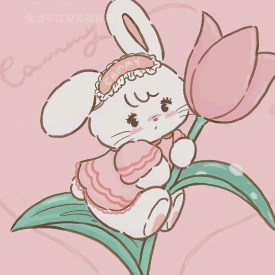 不爱吃香菜。