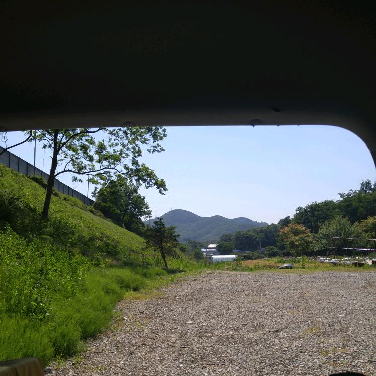 林下听风