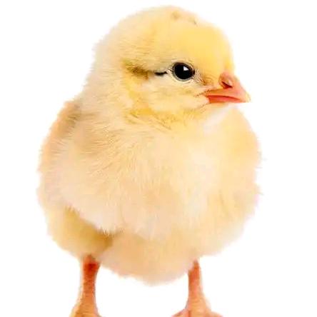 解忧人
