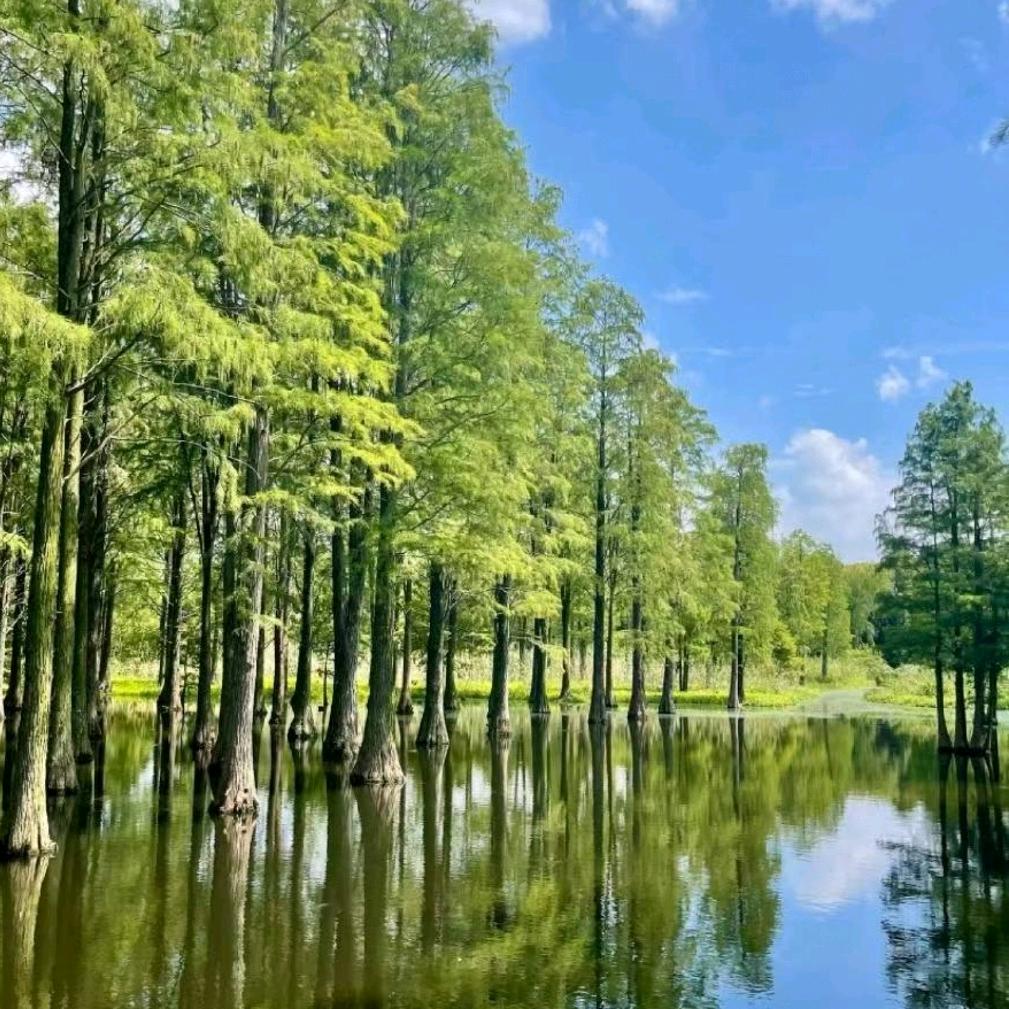 安和（拒绝私聊）