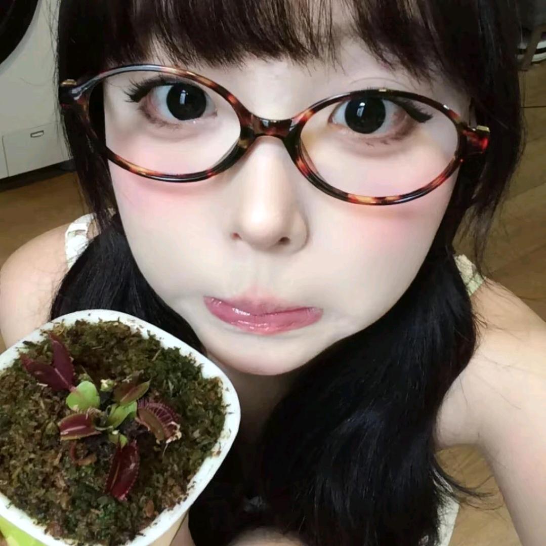 烤柿青松果🍅