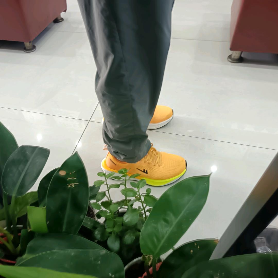 回力湘潭县实体店欢迎您