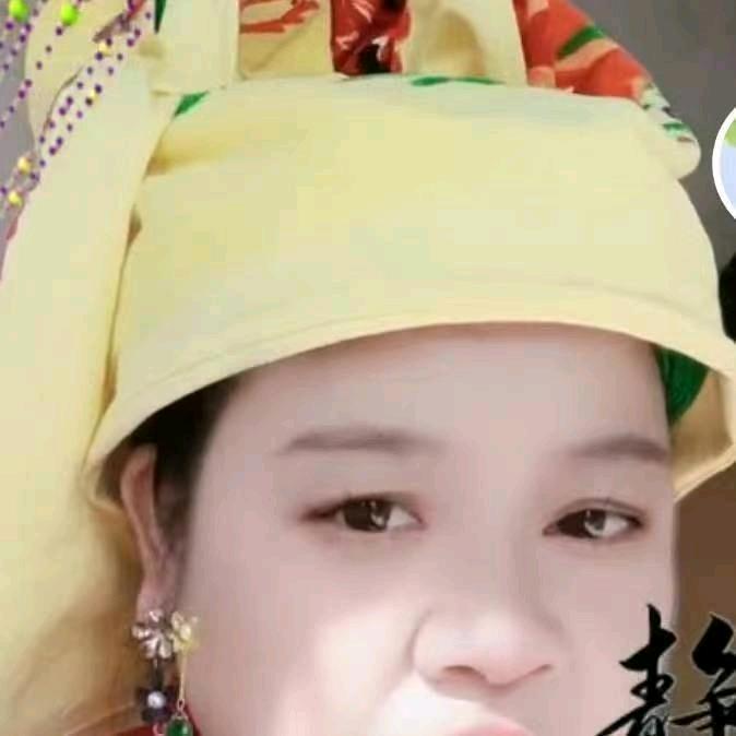 陆莲花