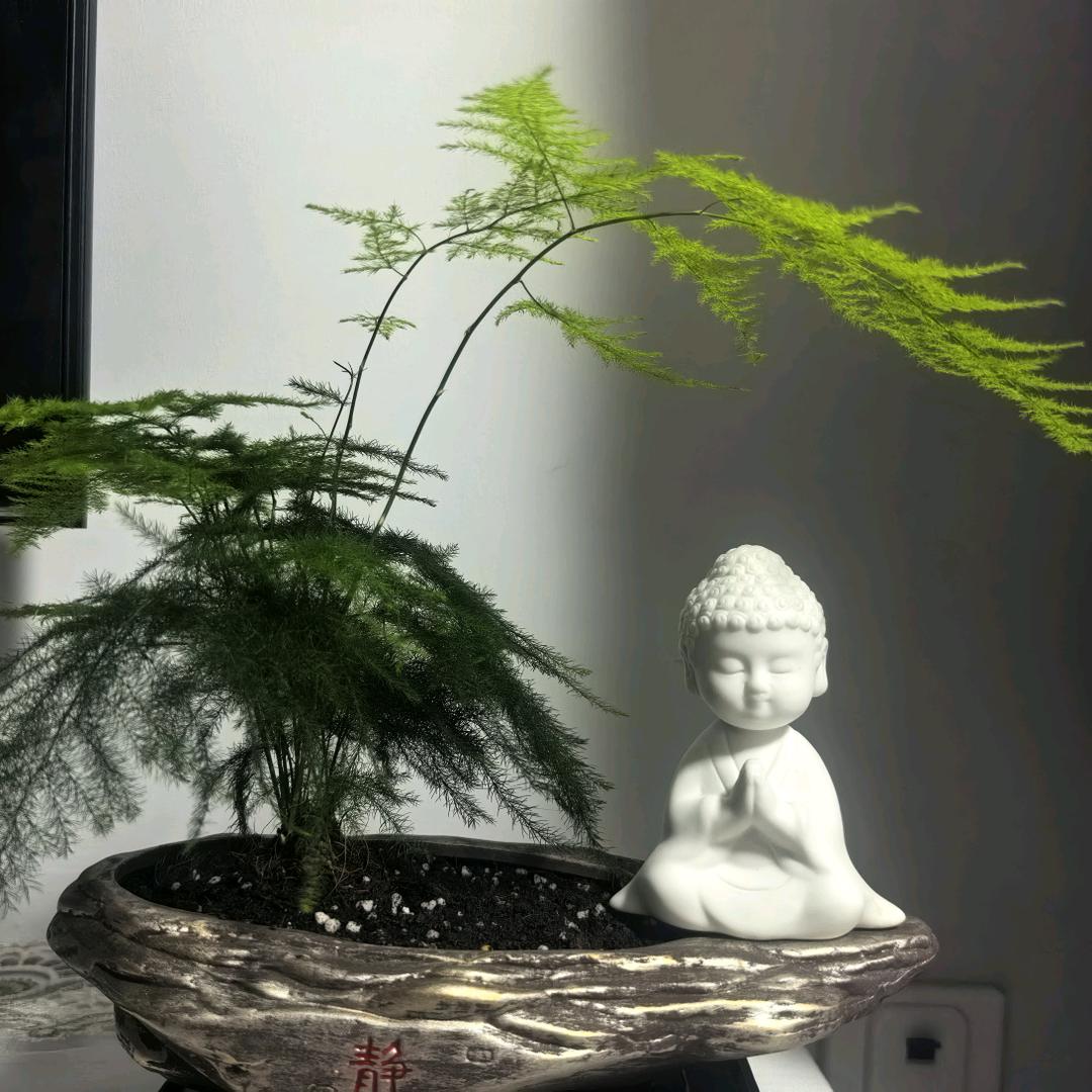 素·简拾光