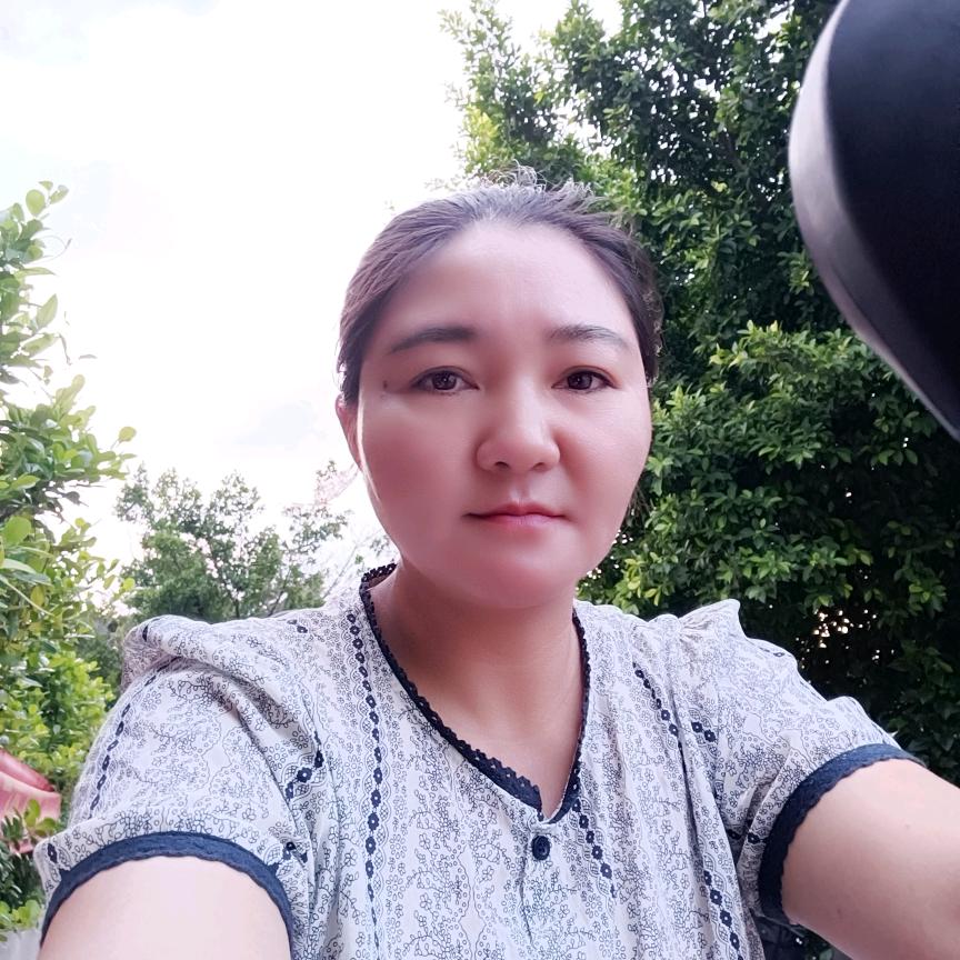 @柳菊