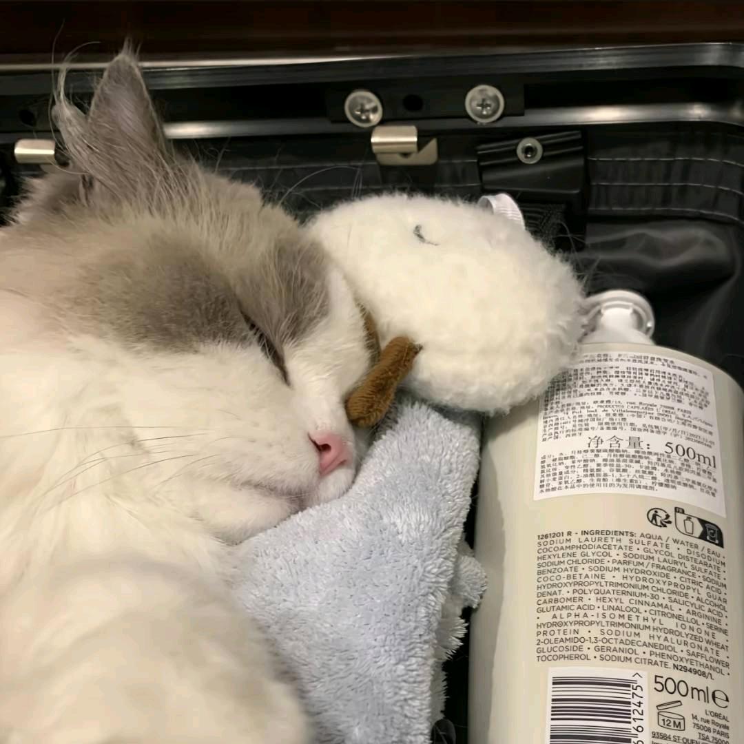 Hao   　༽ 　　　　╲