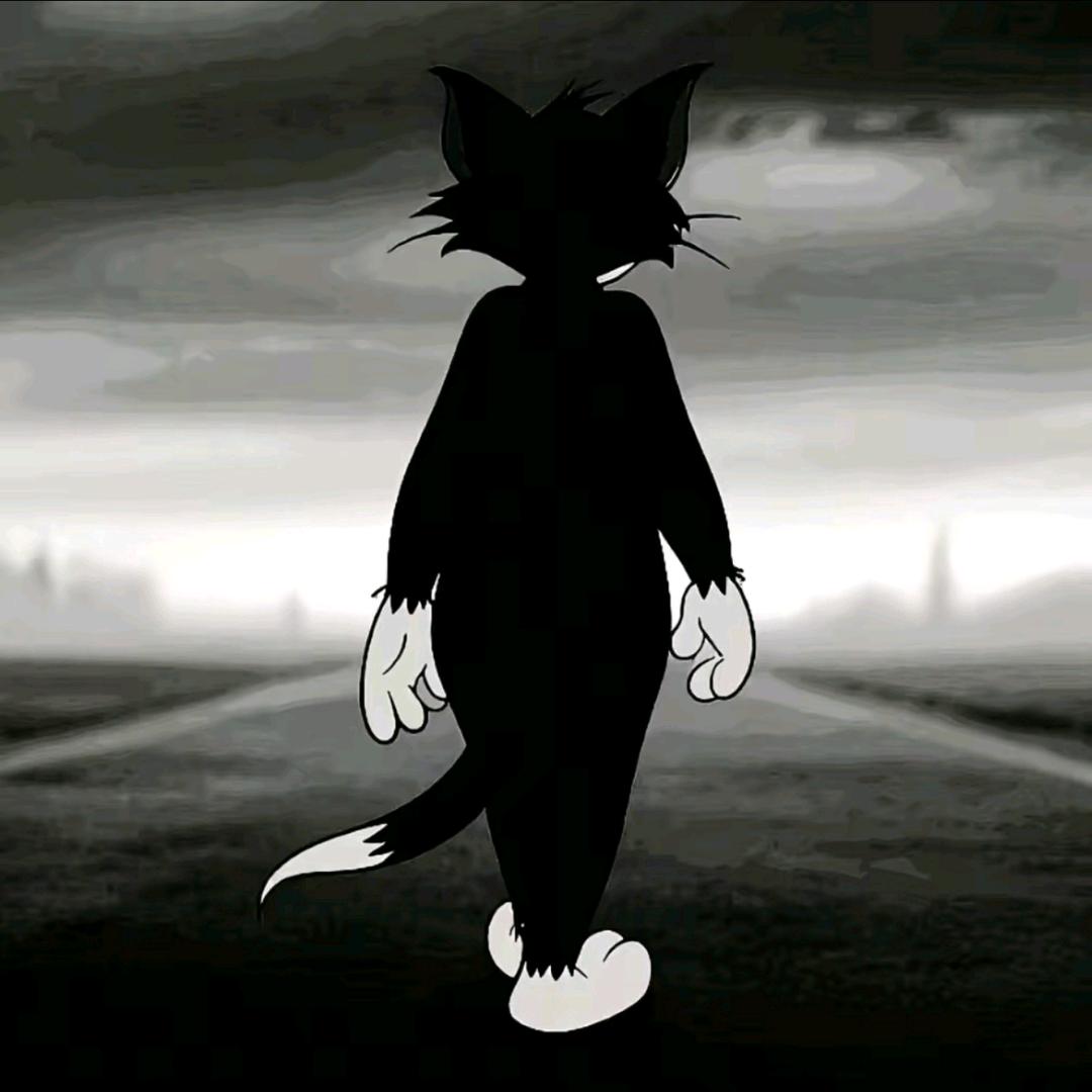 小张同学 手机回收