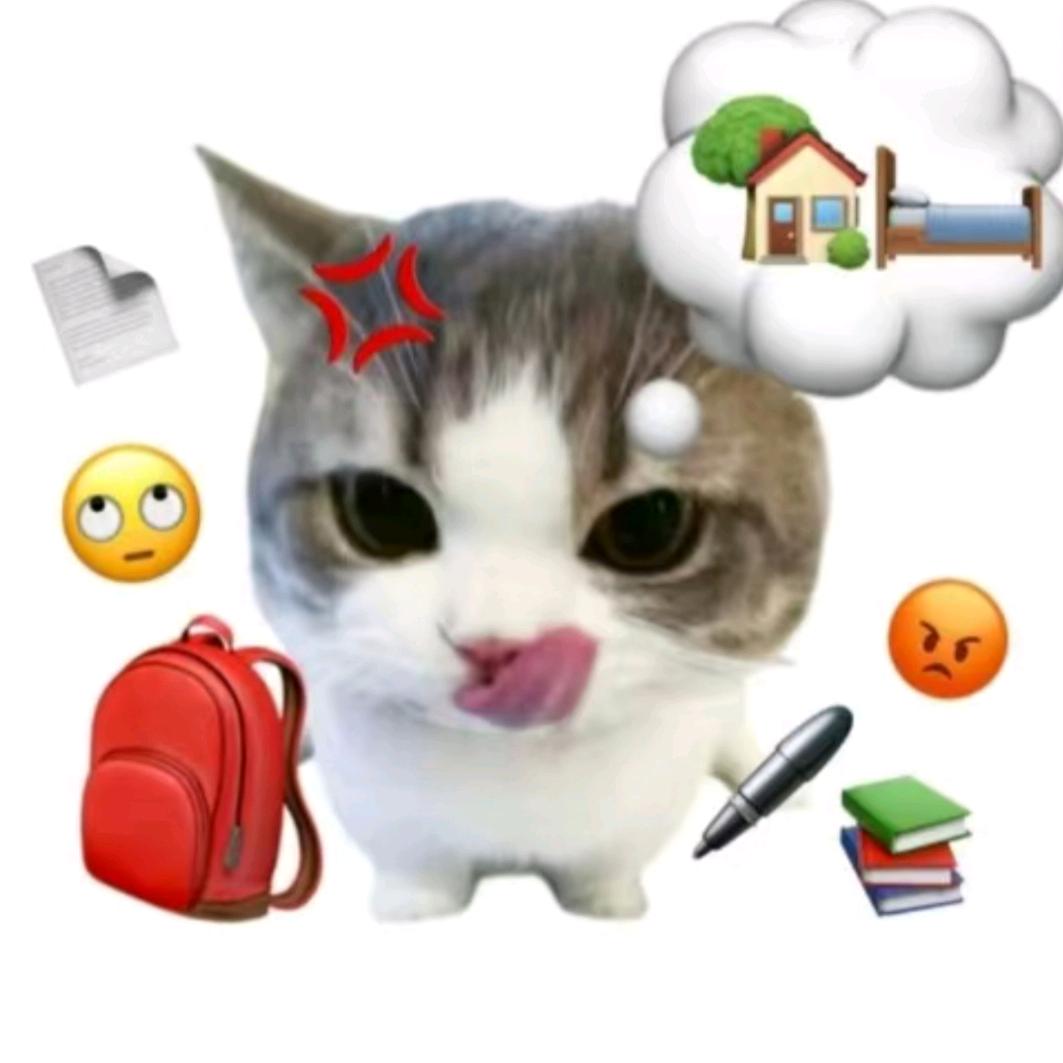 ˃ᯅ˂