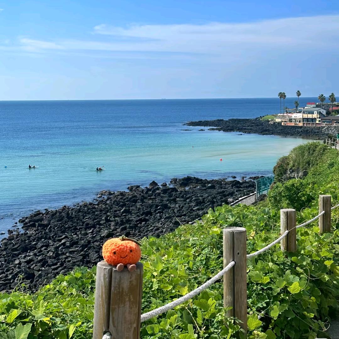 教数学的小橙子